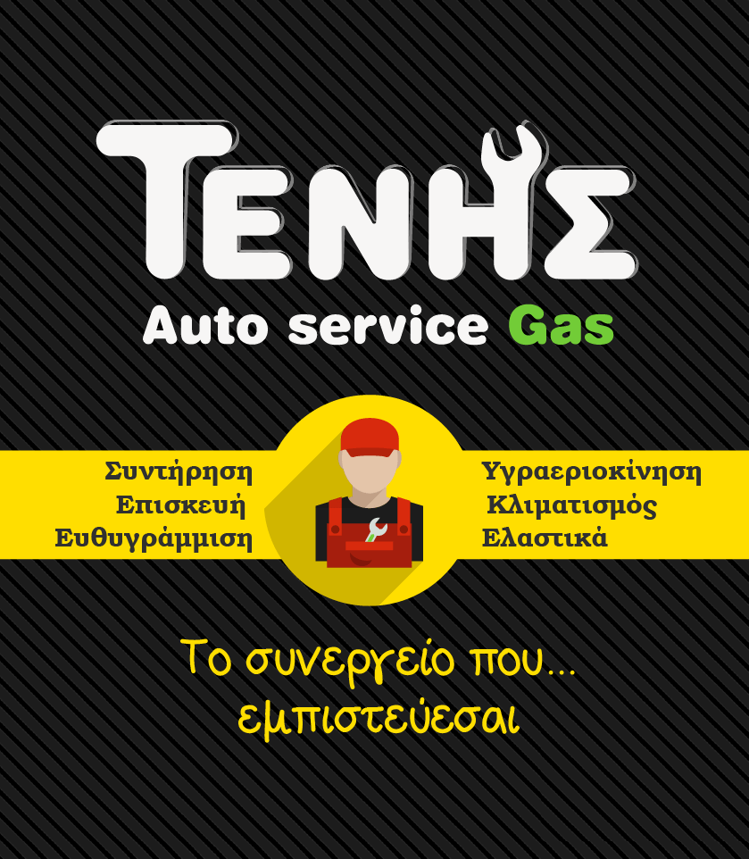 Βιβλίο Auto Service Gas ΤΕΝΗΣ